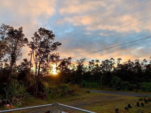 view of nature at dusk