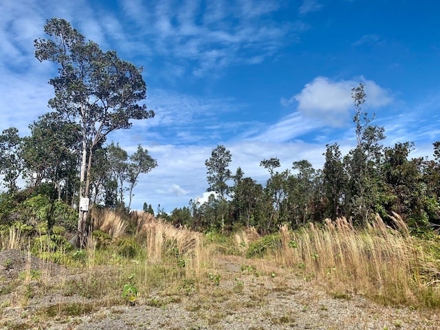 view of local wilderness