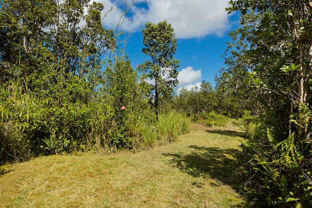 Pikake St, Mountain View HI, 96771 land for sale