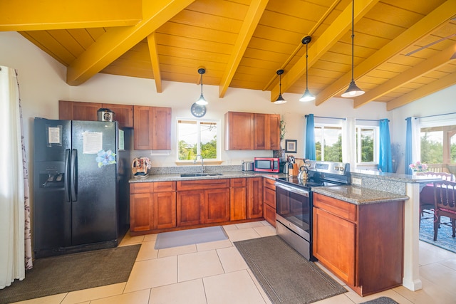 kitchen featuring decorative light fixtures, appliances with stainless steel finishes, sink, and a wealth of natural light