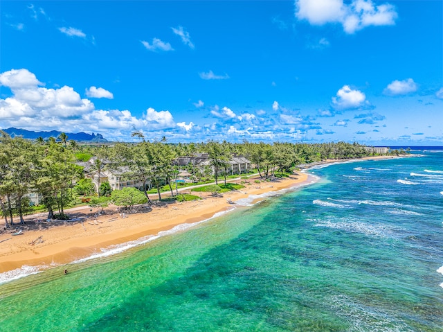 birds eye view of property with a water view and a view of the beach