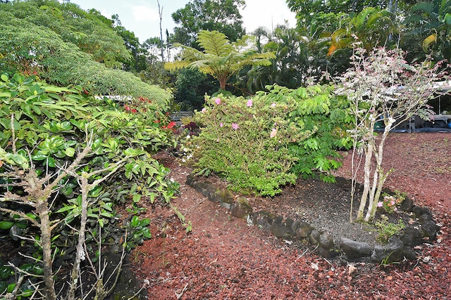 view of landscape