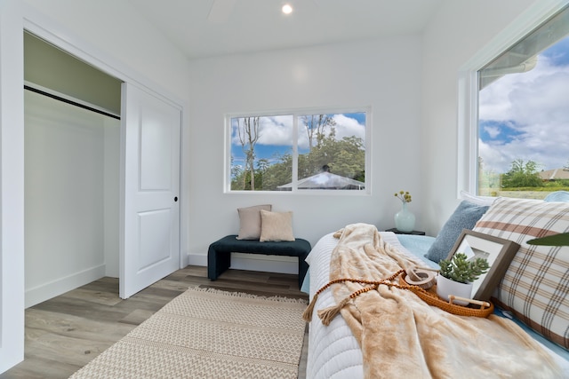 bedroom featuring light hardwood / wood-style floors and a closet