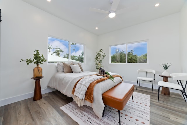 16-2157 Jewel Dr, Pahoa, HI 96778 - bedroom with multiple windows, baseboards, light wood finished floors, and recessed lighting