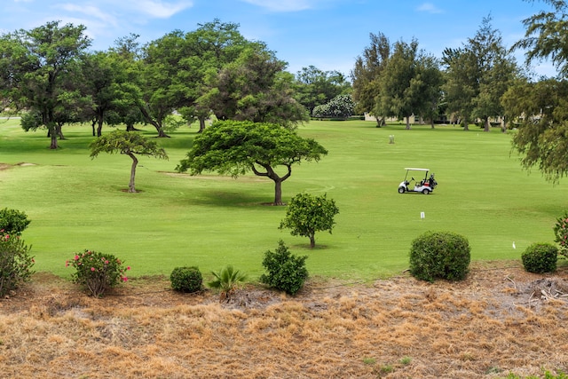 view of home's community with a yard