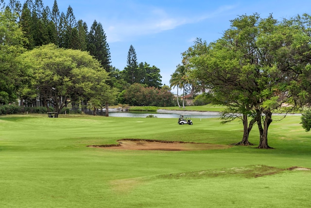 view of home's community with a lawn and a water view