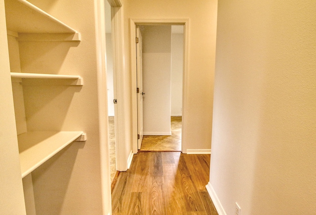 hallway featuring hardwood / wood-style floors