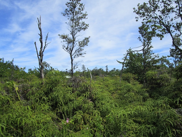 Amau Rd, Keaau HI, 96749 land for sale