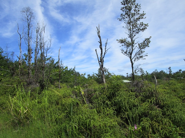 Listing photo 2 for Amau Rd, Keaau HI 96749