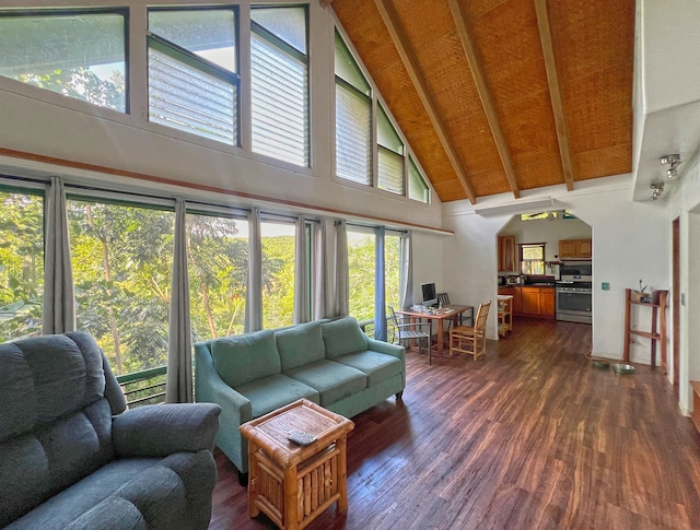 living room featuring beamed ceiling, plenty of natural light, dark wood-type flooring, and high vaulted ceiling