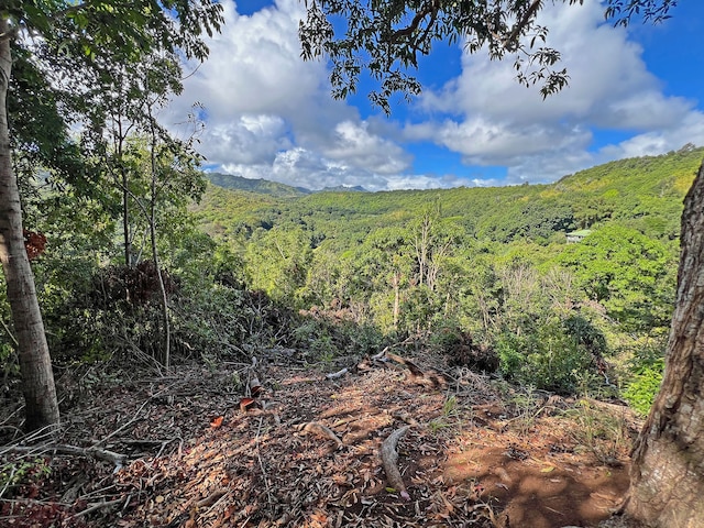 view of nature