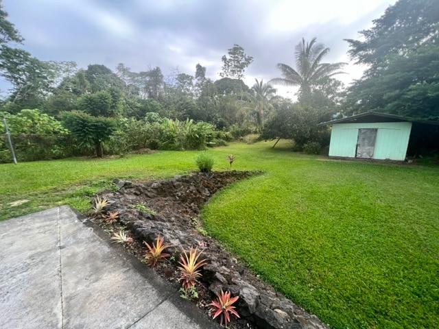 view of yard featuring a storage shed and a patio