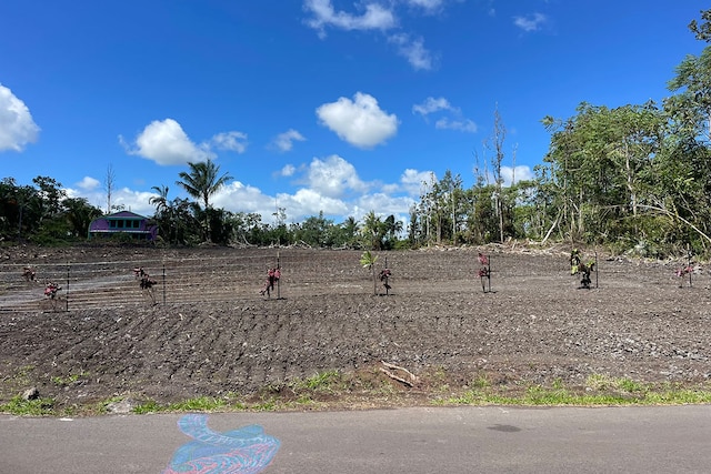 Listing photo 3 for Kupono St, Pahoa HI 96778