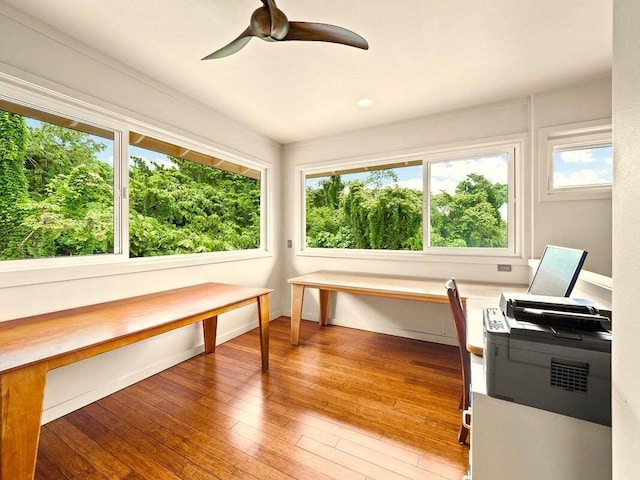 sunroom / solarium featuring ceiling fan and a healthy amount of sunlight