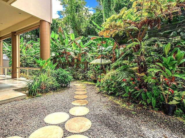 view of yard featuring a patio area