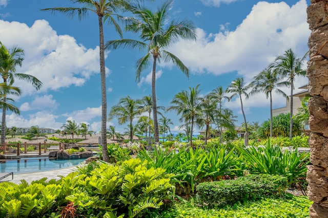 view of swimming pool