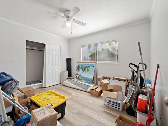 interior space with light hardwood / wood-style floors, ornamental molding, a textured ceiling, and ceiling fan