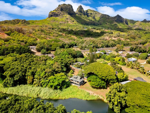 aerial view featuring a water and mountain view