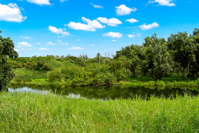 view of local wilderness with a water view