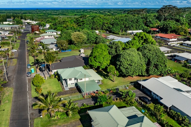 bird's eye view