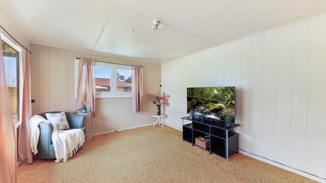 living area with wood walls and carpet flooring