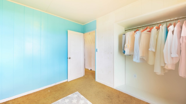 unfurnished bedroom with light colored carpet and a closet