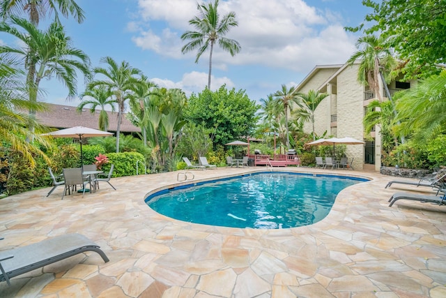 pool featuring a patio and outdoor dining area