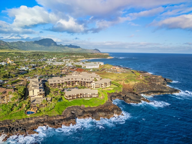 bird's eye view featuring a water and mountain view