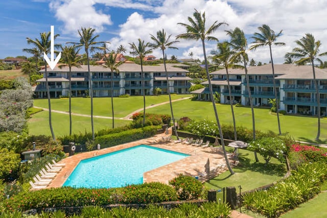 view of swimming pool with a lawn