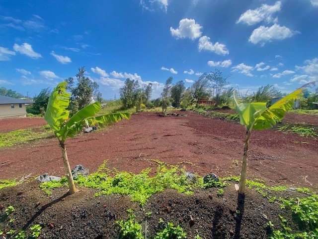 Listing photo 2 for Kamoamoa St, Pahoa HI 96778