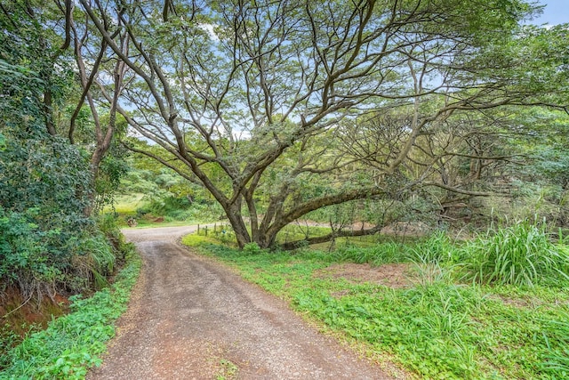 Listing photo 3 for 5409 Laipo Rd Unit 2, Kapaa HI 96746