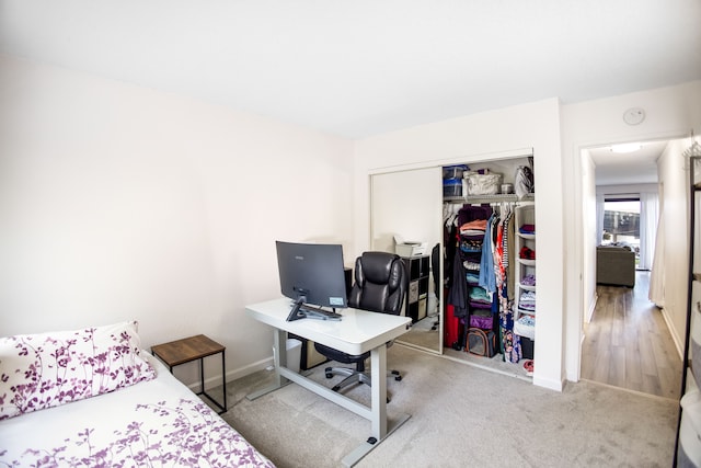 bedroom featuring wood-type flooring and a closet