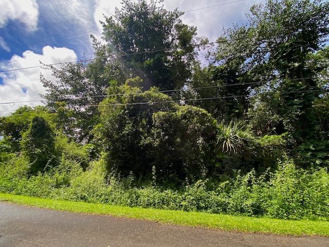 Heepali St, Pahoa HI, 96778 land for sale