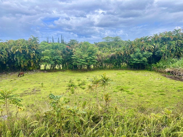 view of yard featuring a rural view