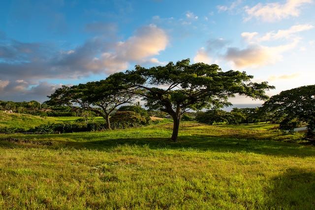 view of landscape with a rural view