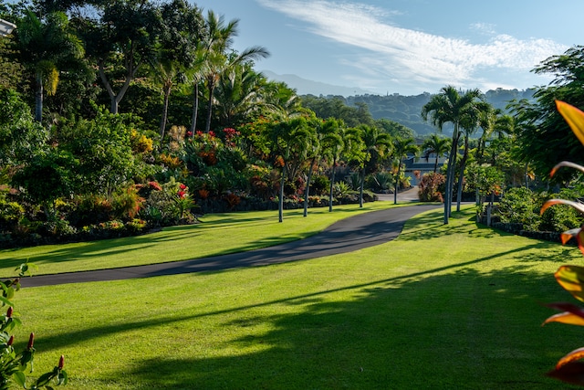 view of property's community featuring a lawn and a mountain view