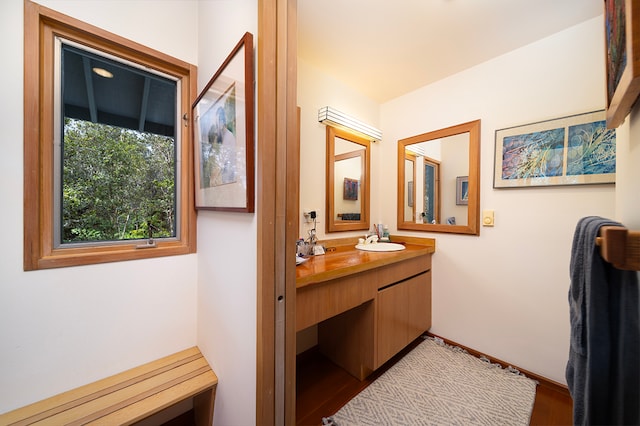 bathroom with hardwood / wood-style flooring and vanity