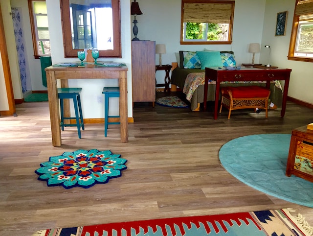 bedroom featuring wood-type flooring