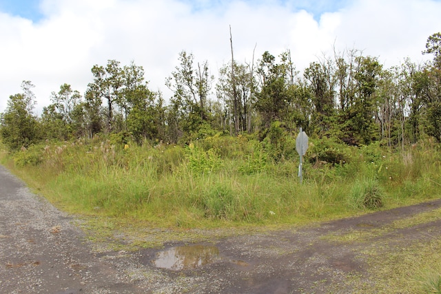 Noe Kuahiwi Rd, Volcano HI, 96785 land for sale