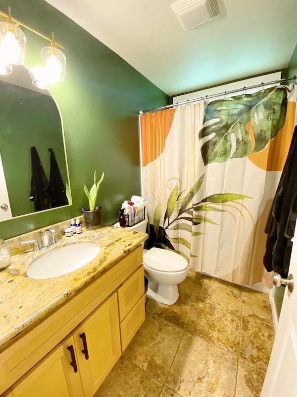 bathroom featuring a shower with curtain, vanity, and toilet