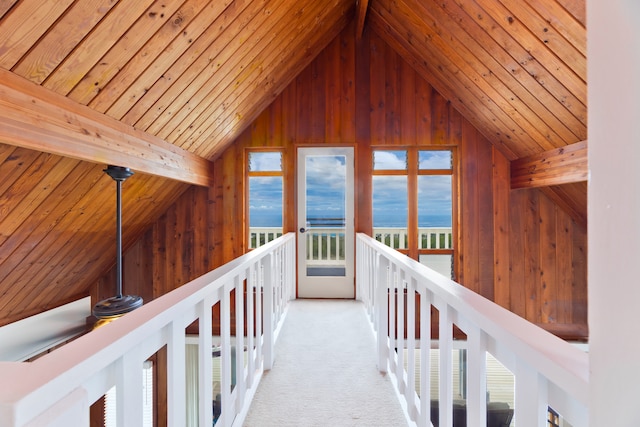 hallway with wooden walls and wooden ceiling