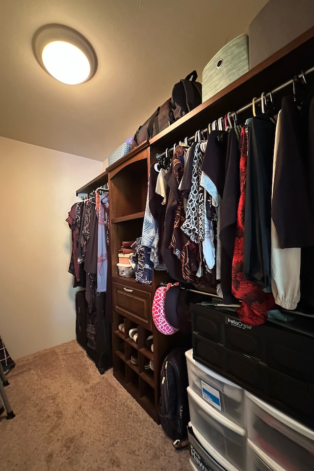 walk in closet with carpet floors