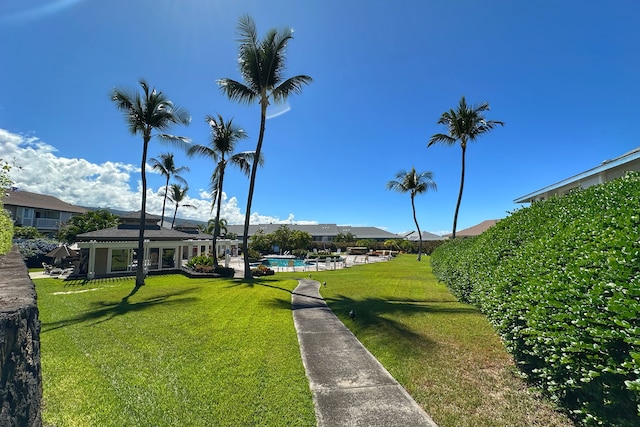 view of community featuring a pool and a yard