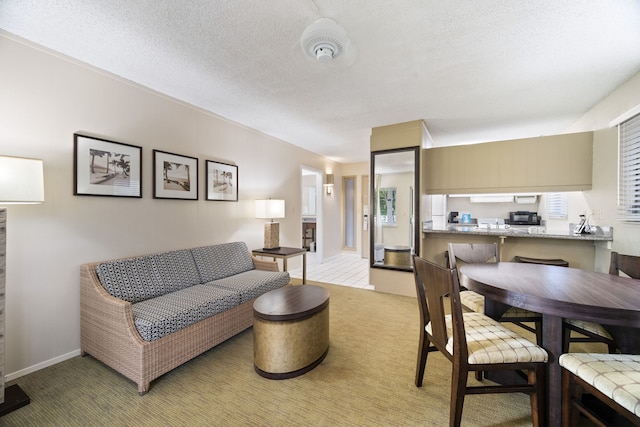 carpeted living room with a textured ceiling and a wealth of natural light