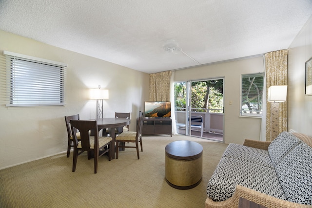 interior space featuring carpet and a textured ceiling