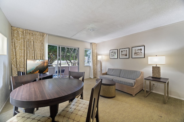 dining room featuring carpet floors and a textured ceiling