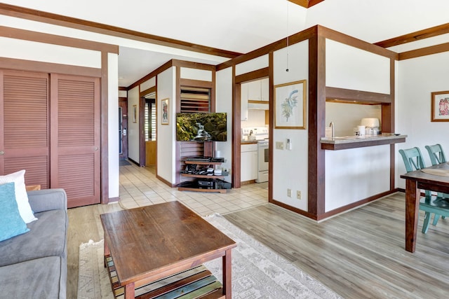 living room with light wood-type flooring, crown molding, and sink