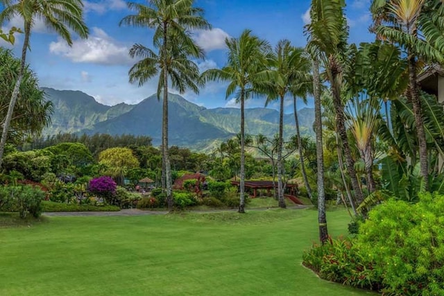 view of community featuring a mountain view and a lawn