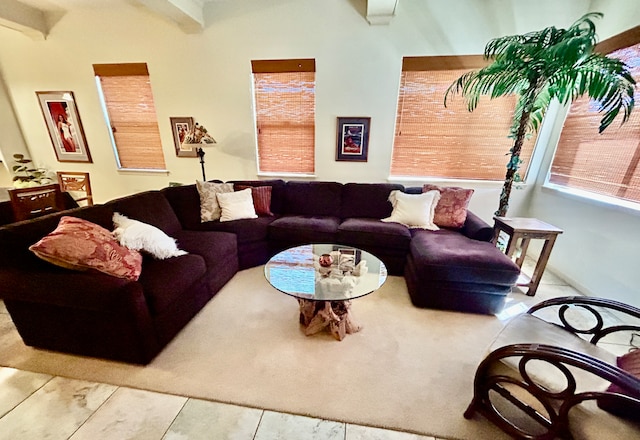 living room with beam ceiling