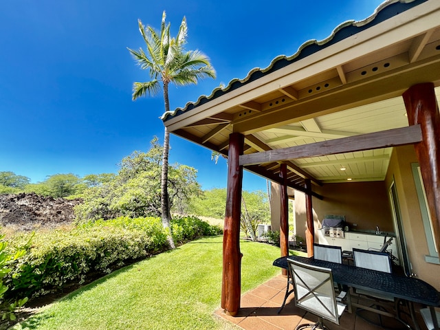 view of yard featuring a patio